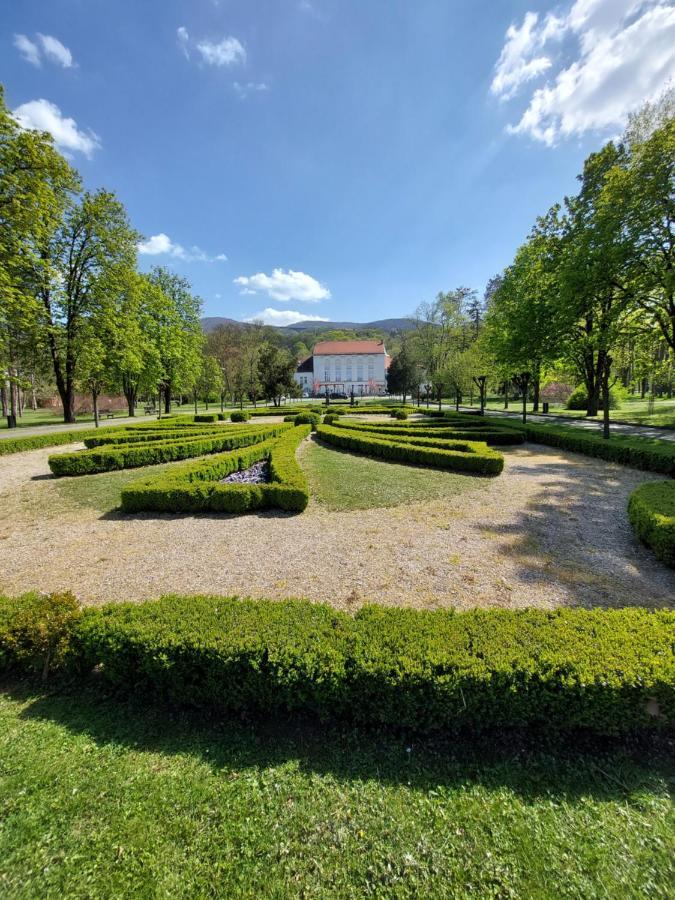 Aleks Sobe Hotel Banja Koviljača Exterior foto