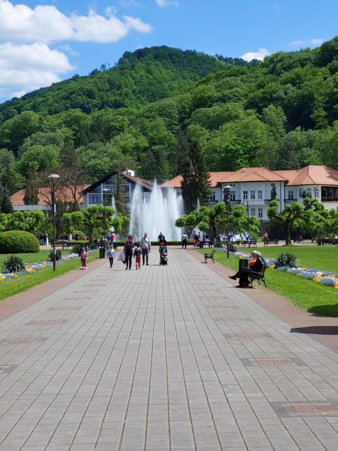 Aleks Sobe Hotel Banja Koviljača Exterior foto